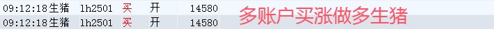 003生猪.jpg